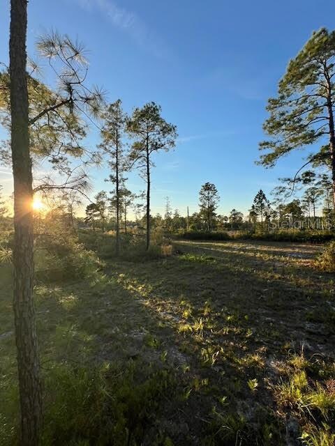 0 Seagrape Ave unit MFRA4672088, Eustis, FL 32736 - photo 2
