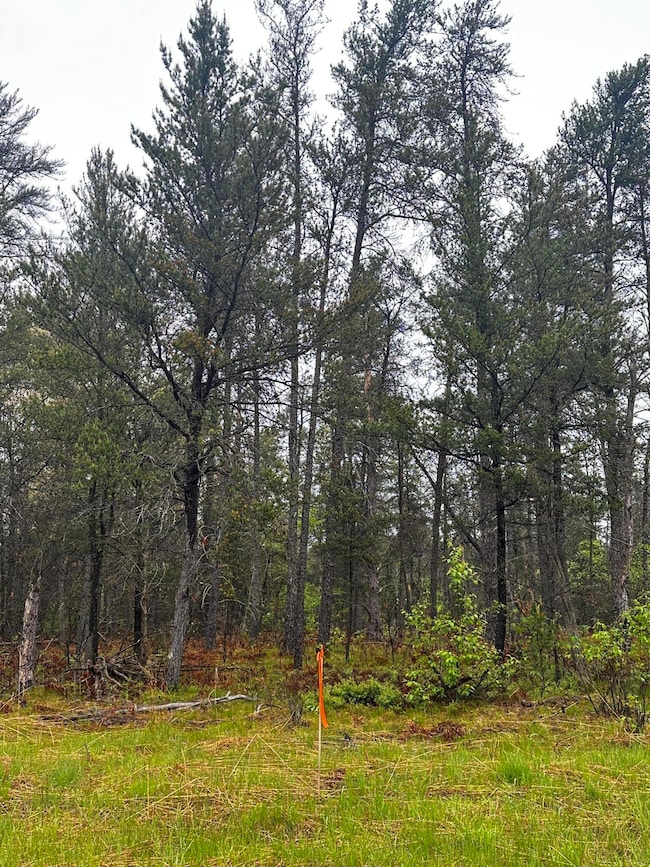 00 E 10 Mile Rd unit Parcel D-1, Irons, MI 49644 - photo 4