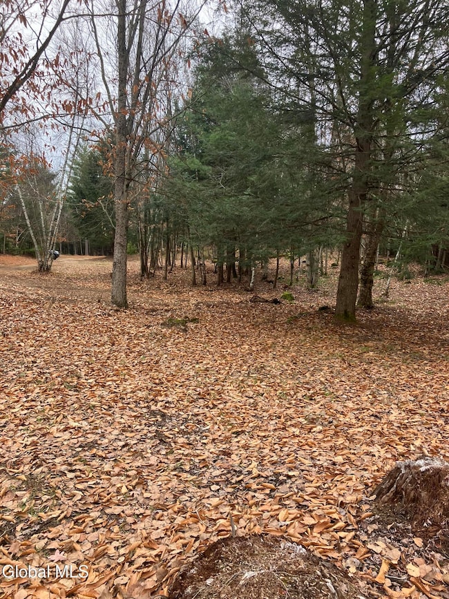 0 Scofield Rd unit 202530120, Lake Luzerne, NY 12846 - photo 4