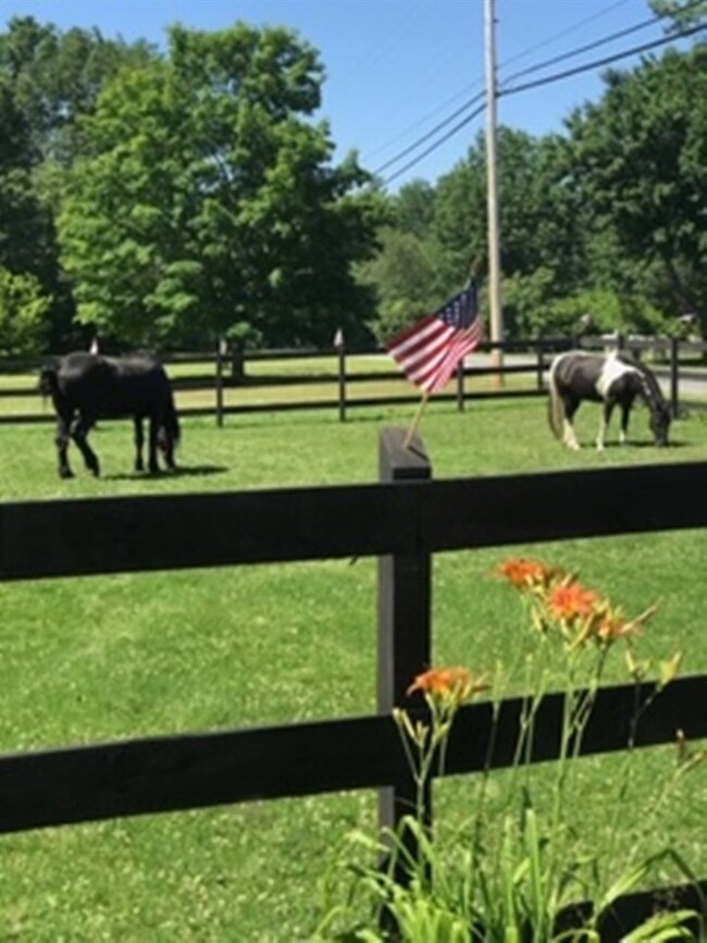 33 Pingree Hill Rd, Derry, NH 03038 - photo 2