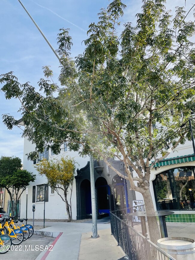 402 E 9th St unit 103, Tucson, AZ 85705 - photo 4