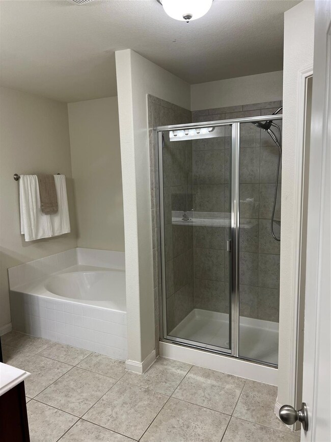 Primary Shower