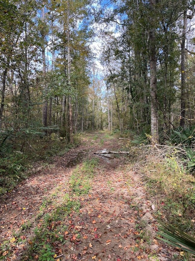 0 Dunn Rd unit LotWP001, Denham Springs, LA 70726 - photo 3