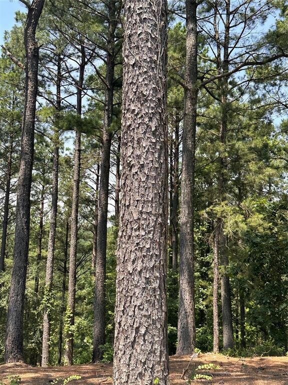 202 Crooked Cedar Trail, Hochatown, OK 74728 - photo 4