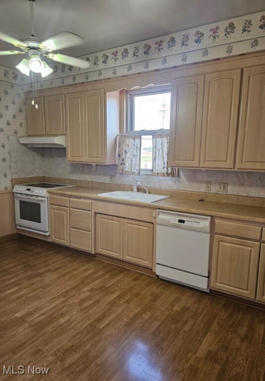 29526 Euclid Ave unit 1, Wickliffe, OH 44092 - photo 4