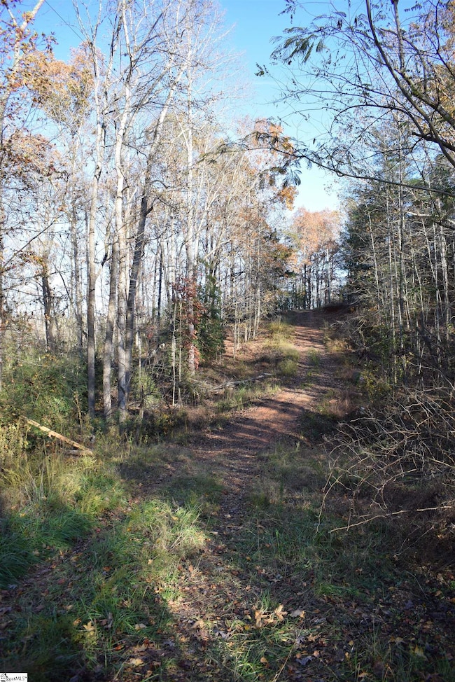 5231 Highway 11, Inman, SC 29349 - photo 5