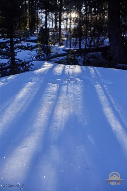 0 Michener Rd unit 203282, Big Sky, MT 59716 - photo 4