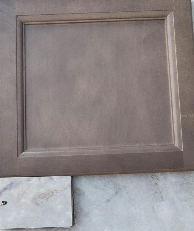 12334 Snow Goose Ave, Weeki Wachee, FL 34614 - photo 4