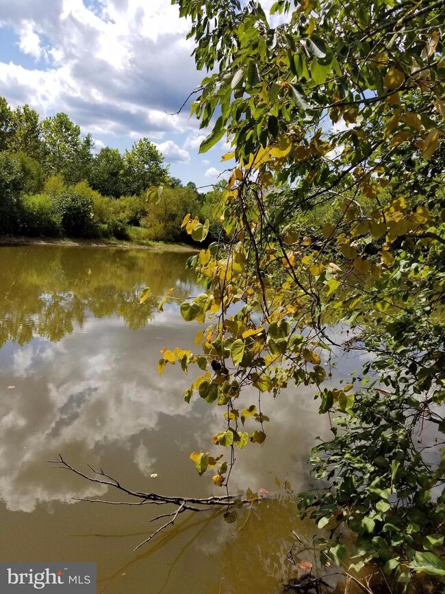 0 Daniels Point Dr unit 1000142603, Orange, VA 22960 - photo 3