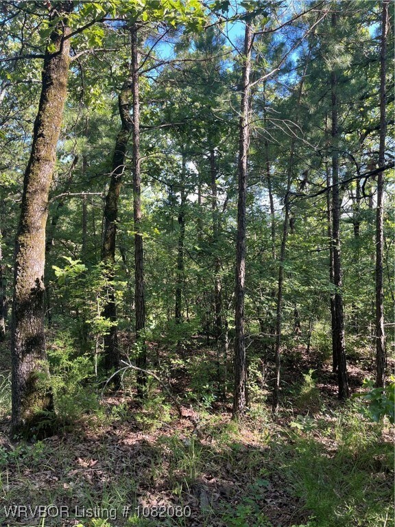 Tract 7 SE 1083rd Ave, Red Oak, OK 74563 - photo 6