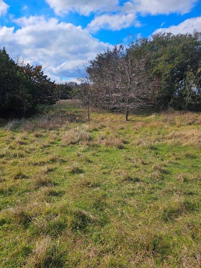 37044 Wood Acre Dr, Whitney, TX 76692 - photo 5