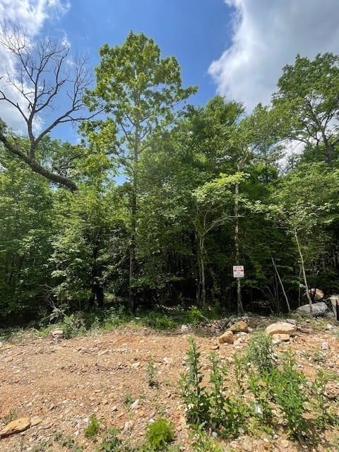 706 Timber Creek Trails South XI, Broken Bow, OK 74728 - photo 3