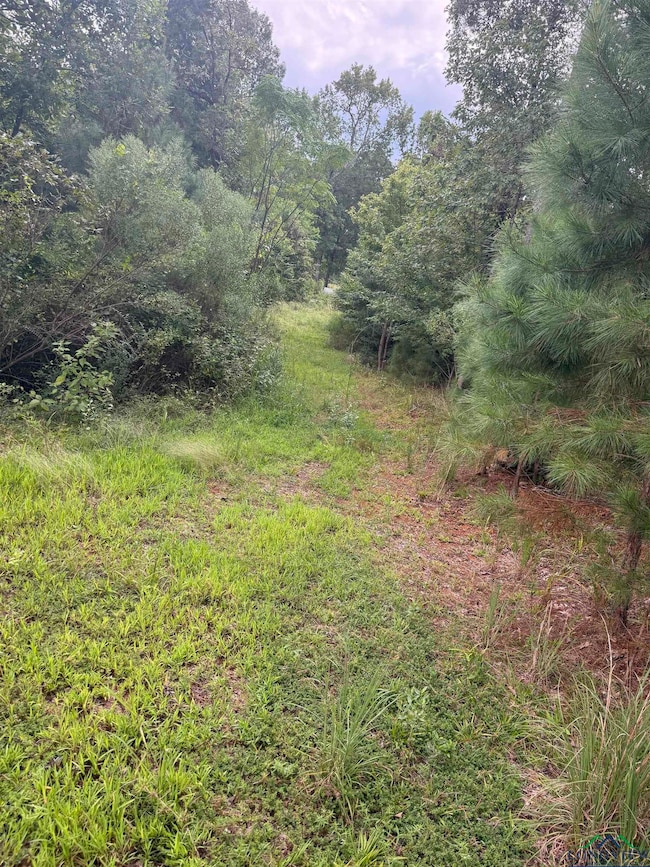 12543 Farm To Market 225, Cushing, TX 75760 - photo 7