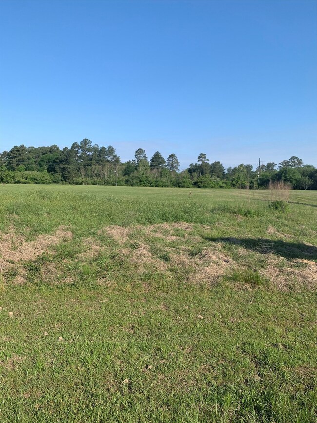 36725 Fm 1774 Rd, Magnolia, TX 77355 - photo 2