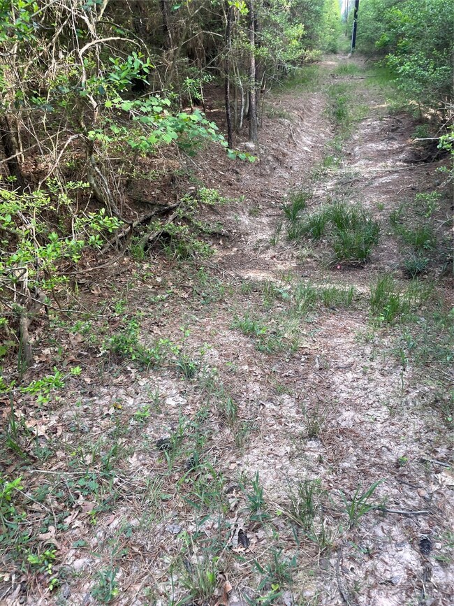 31111 Sugar Bend Dr, Magnolia, TX 77355 - photo 5