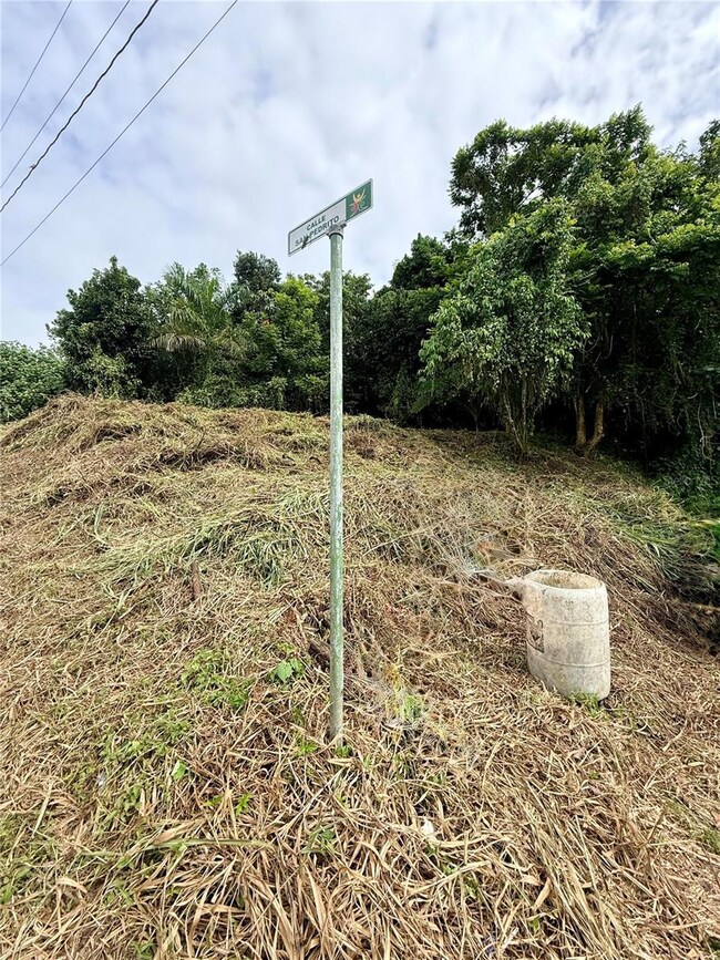 0 Calle Pineros, Cayey, PR 00736 - photo 5