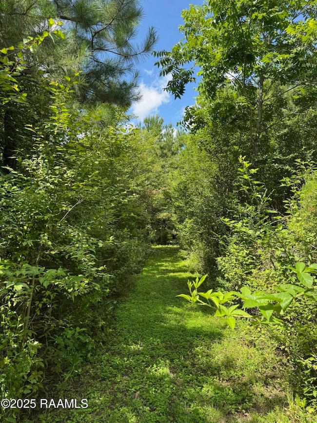 Tbd Frozard Rd unit 5, Arnaudville, LA 70512 - photo 3