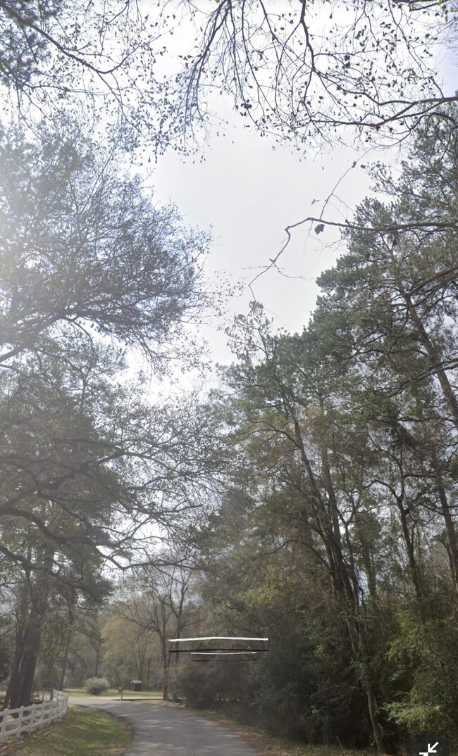 0 Cardinal unit 62109229, Hockley, TX 77447 - photo 6