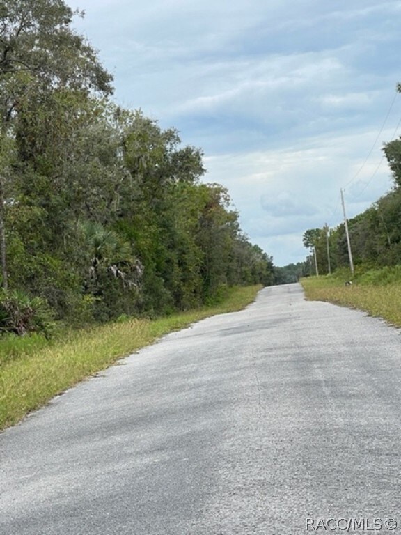 unlisted-address, Dunnellon, FL 34431 - photo 5