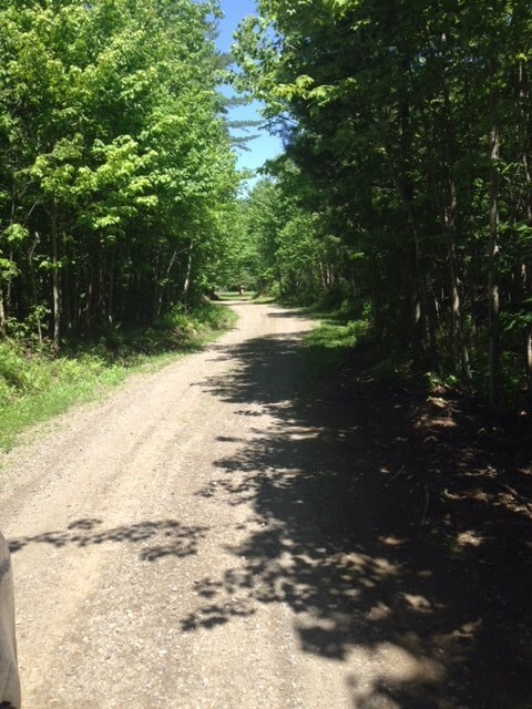 219 Us Route 3, North Stratford, NH 03590 - photo 4