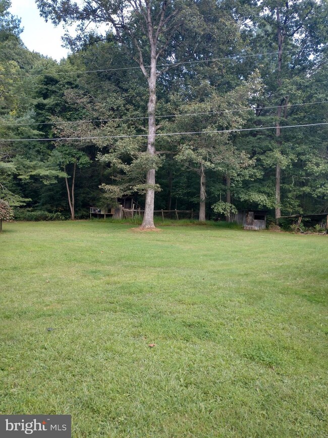 876 Clouser Hollow Rd, New Bloomfield, PA 17068 - photo 7