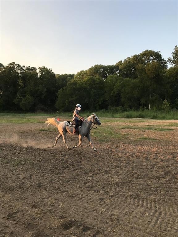 376 Private Road 4676 unit 4668, Rhome, TX 76078 - photo 7