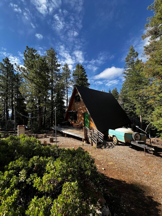 Photo Aug 16 2025, 9 49 51 AM