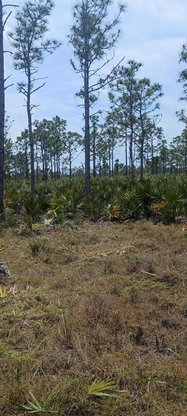 000 None, Grant Valkaria, FL 32950 - photo 6