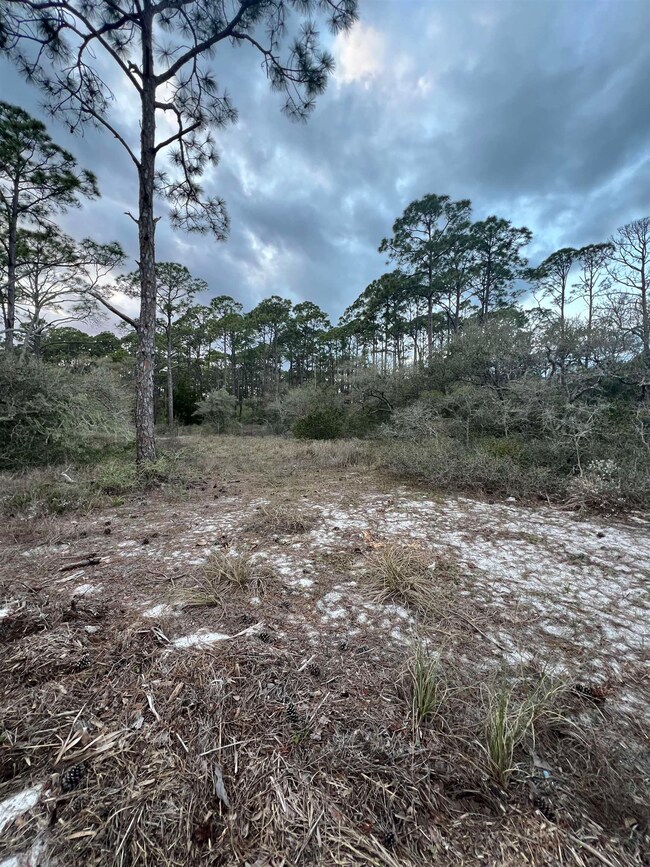 2388 Us Highway 98, Carrabelle, FL 32322 - photo 5