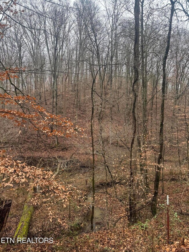 0 Mt Olive unit 1323665, Andersonville, TN 37705 - photo 5