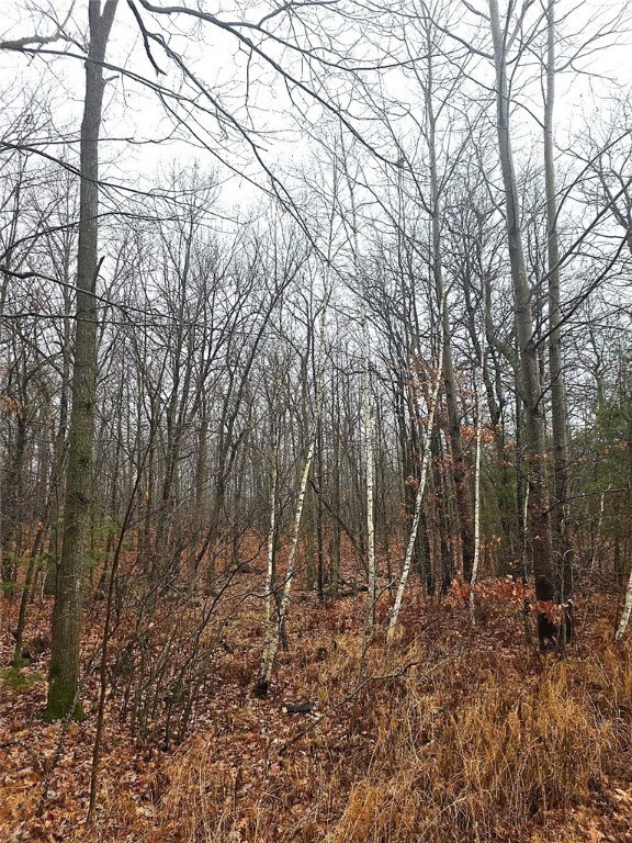 00 15th St, Johnstown, WI 54826 - photo 7