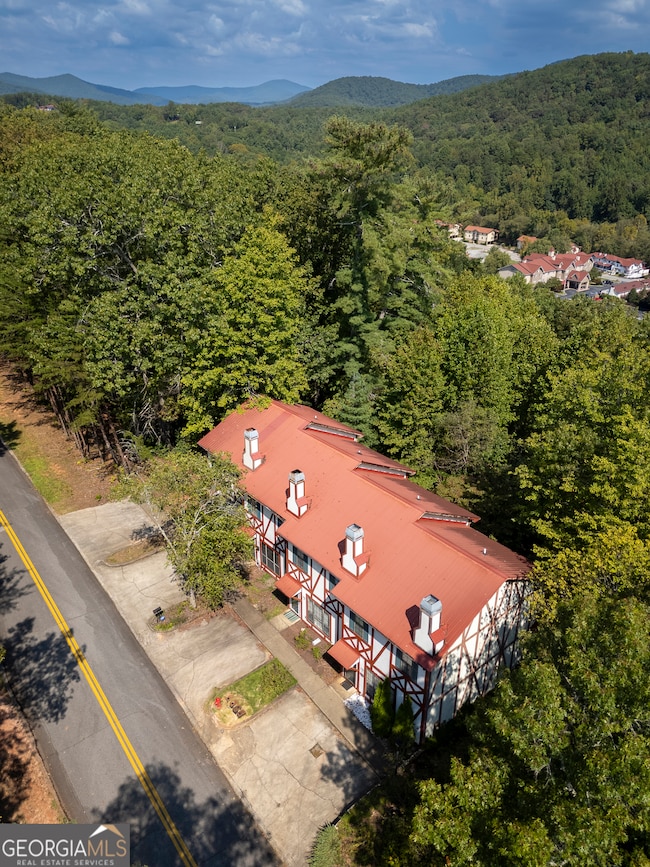 286 Alpenrosen Strasse unit 1, Helen, GA 30545 - photo 2