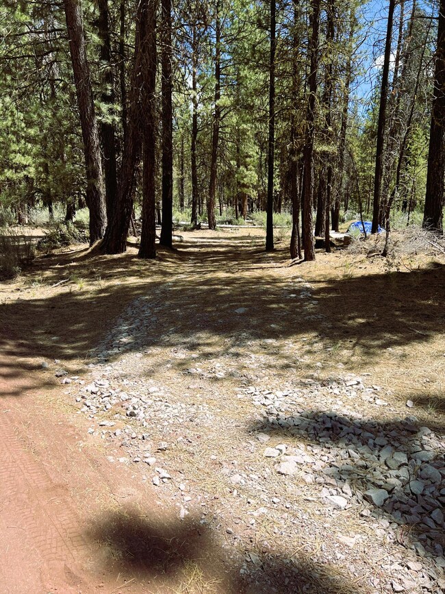 entry drive off of Whitehorse Way Lot 6