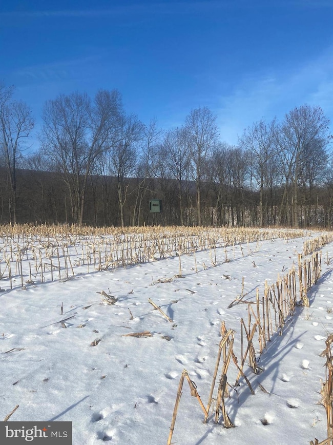 0 Llama Ln, Licking Creek Township, PA 17238 - photo 6