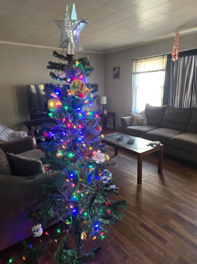 611 S Harrison Ave, Aurora, MO 65605 - photo 4