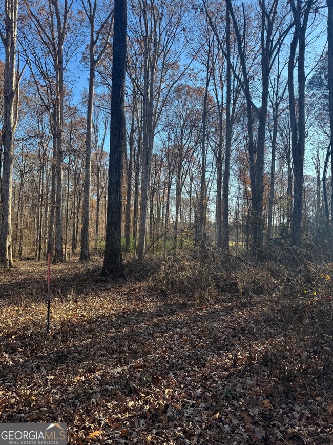 2661 Oakley Trail, Statham, GA 30666 - photo 5