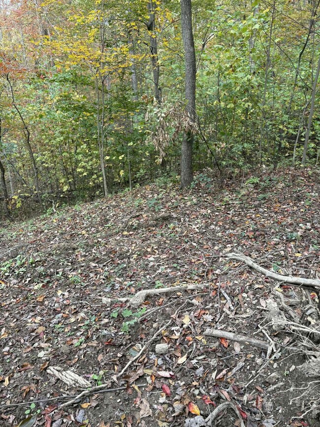 Pine Grove Ch Rd, Vanceburg, KY 41179 - photo 5