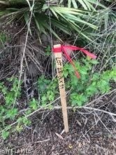 758 Milano Ave S, Lehigh Acres, FL 33974 - photo 5