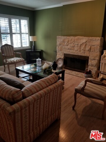 Living room fireplace