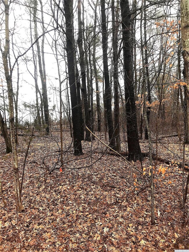 2 - L Sleepy Hollow Rd, Athens, NY 12015 - photo 2