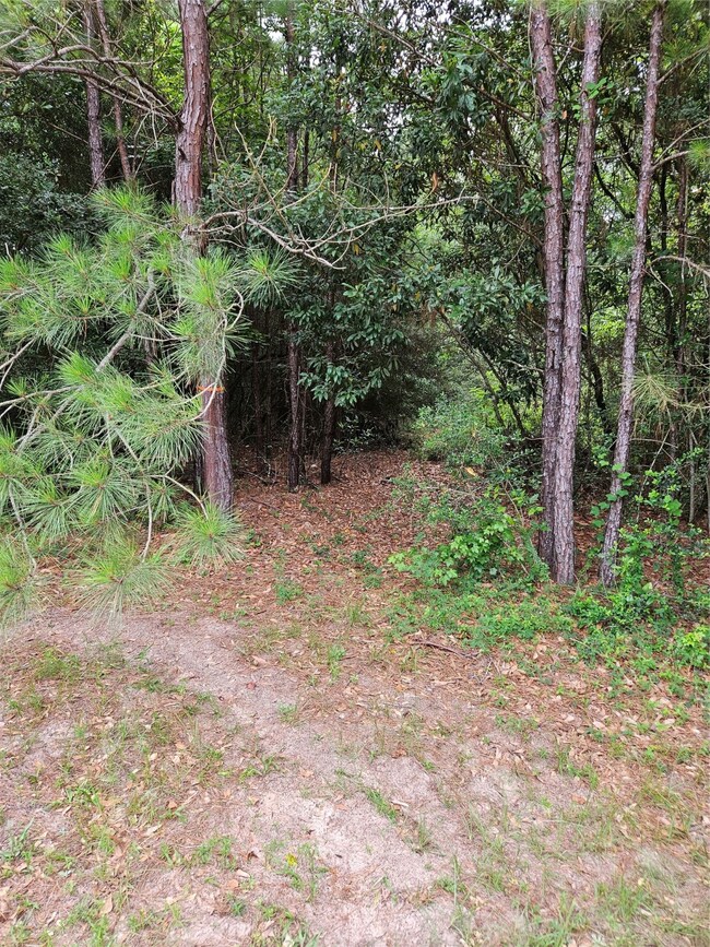 27506 Buena Way, Spring, TX 77386 - photo 2