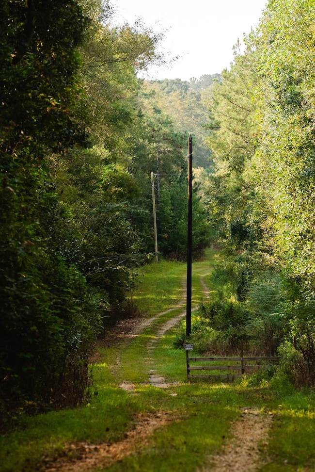 15816 Roberts Rd, Opp, AL 36467 - photo 6