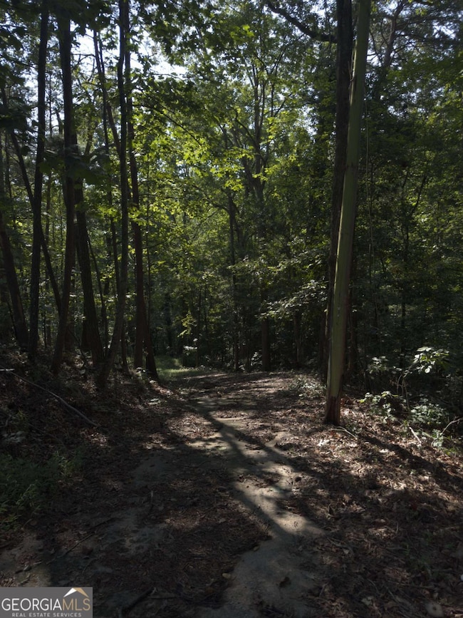 3746 Leach Rd, Gainesville, GA 30506 - photo 3