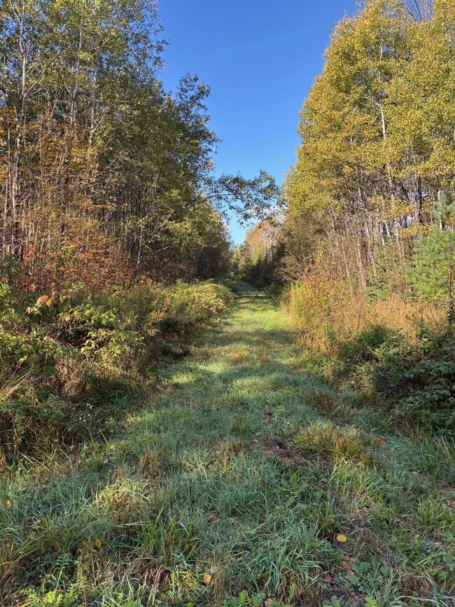 OFF Peterson Rd, Antigo, WI 54409 - photo 5