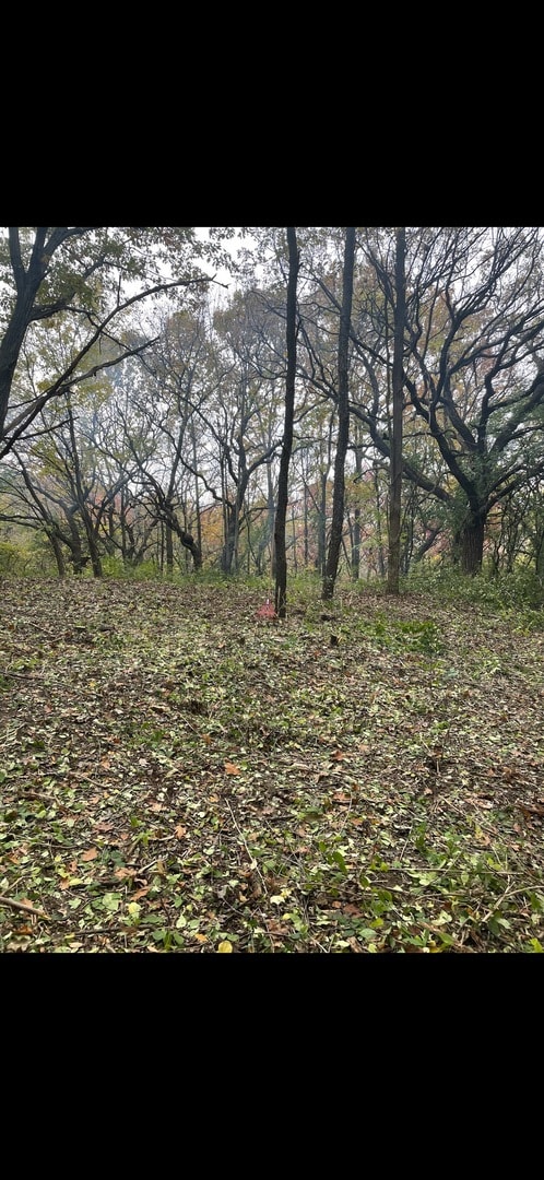 7 Autumn Trail, Barrington, IL 60010 - photo 6