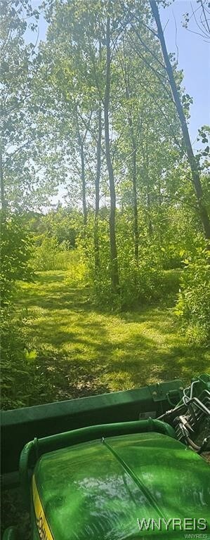 3719 Mapleton Rd, Sanborn, NY 14132 - photo 3