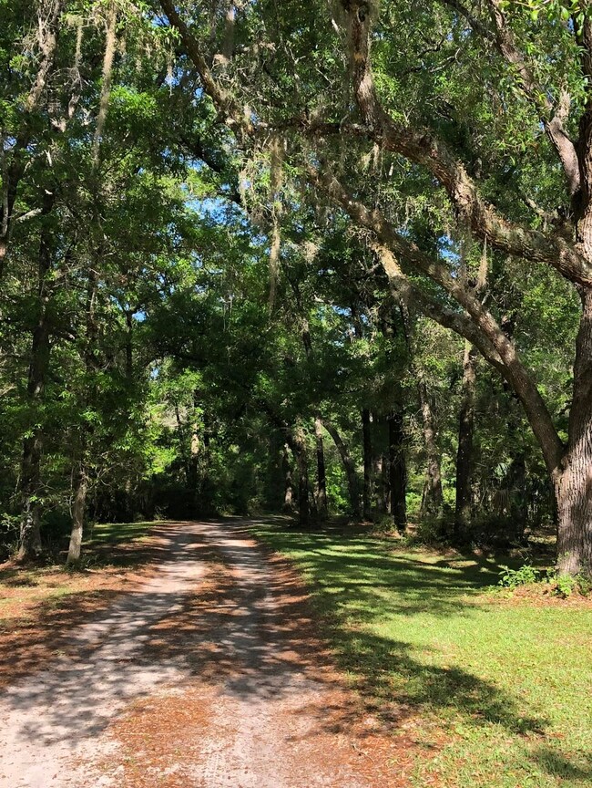 62 Hideaway Ln, Crawfordville, FL 32327 - photo 3