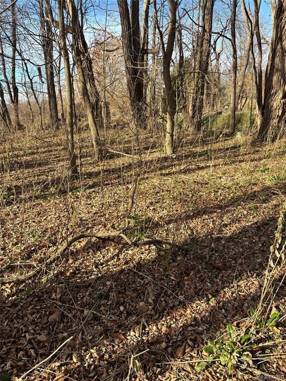 00 Faussett Rd, Tyrone Township, MI 48430 - photo 7