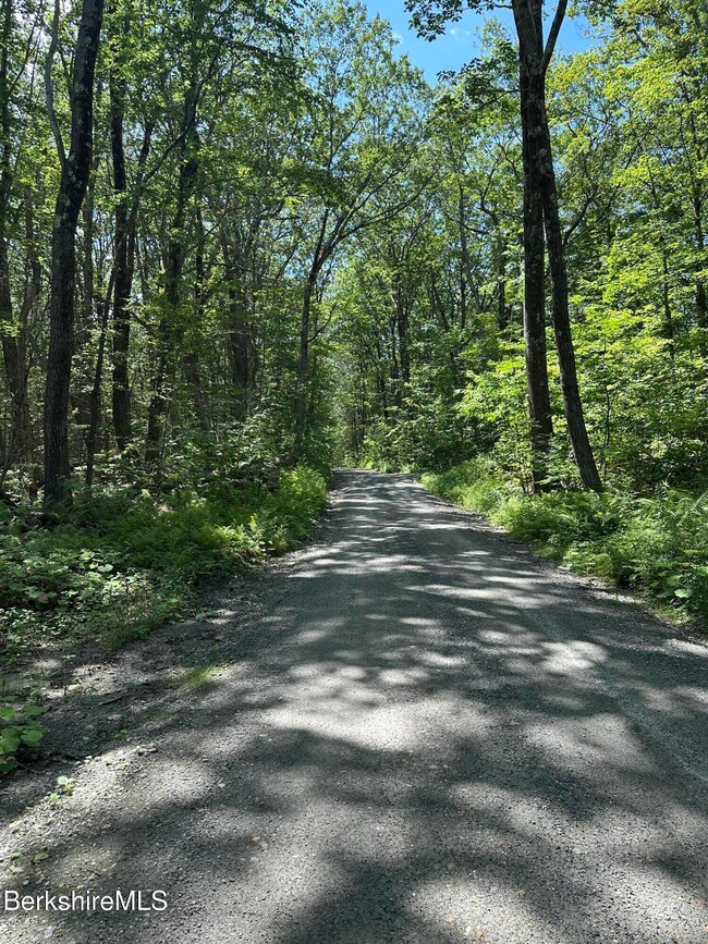 0 Cronk Rd, Sandisfield, MA 01255 - photo 4