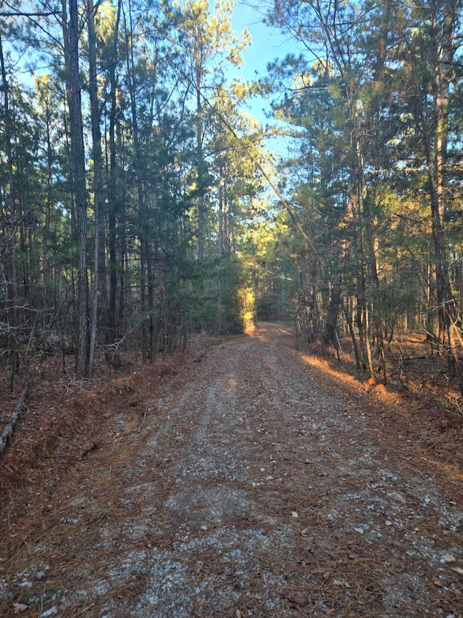 0 Pineridge Dr, Lincolnton, GA 30817 - photo 2